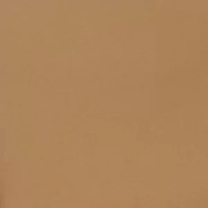 Warna Camel Seperti Apa?