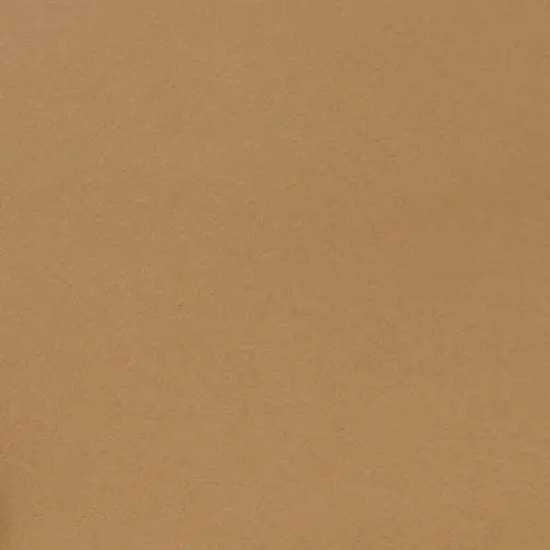 Warna Camel Seperti Apa?
