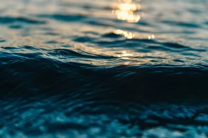 Perbedaan Antara Sea dan Ocean Ternyata Cukup Unik