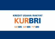 Syarat dan Cara Mengajukan KUR BRI 2025: Plafon Pinjaman, Bunga Ringan, dan Dokumen yang Diperlukan