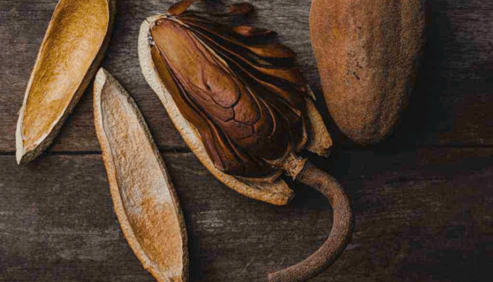Buah Mahoni: Kaya Flavonoid, Bantu Turunkan Gula Darah, Lancarkan Peredaran, dan Jaga Kesehatan Jantung