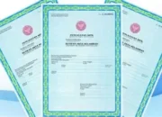 Akta Kelahiran Online
