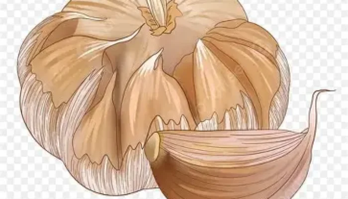 Manfaat Ajaib Makan Bawang Putih Mentah Setiap Hari untuk Kesehatan Jantung, Imun Tubuh, dan Keseimbangan Kolesterol