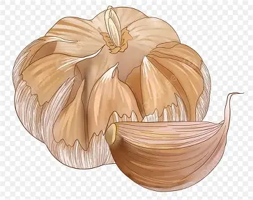 Bawang Putih Mentah