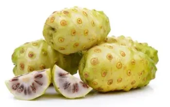 Buah Mengkudu