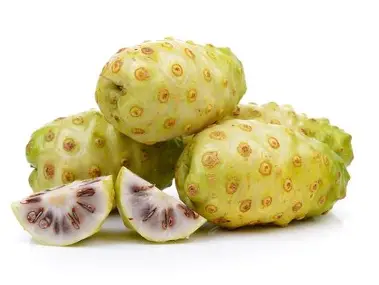 Buah Mengkudu