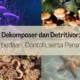 Perbedaan Dekomposer dan Detritivor: Peran Penting dalam Ekosistem dan Pengurai Alami yang Jarang Disadari