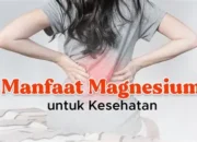 Manfaat Magnesium Bagi Tubuh: Menjaga Saraf, Otot, dan Jantung Tetap Sehat dengan Asupan Mineral Alami Harian