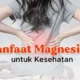 Manfaat Magnesium