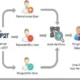 Monitoring SOP AP