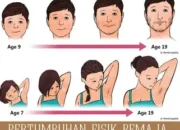 Perubahan Fisik yang Terjadi pada Remaja Putri