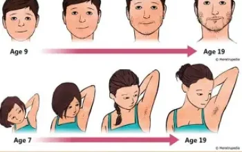 Perubahan Fisik yang Terjadi pada Remaja Putri