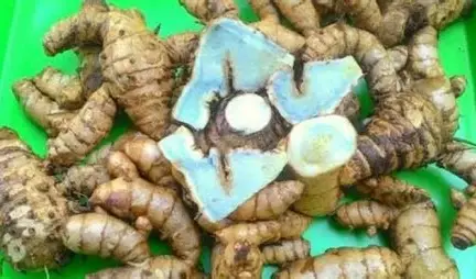 Temu Ireng