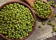 kacang hijau