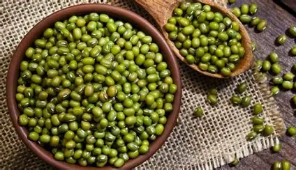 kacang hijau