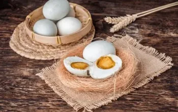 telur bebek
